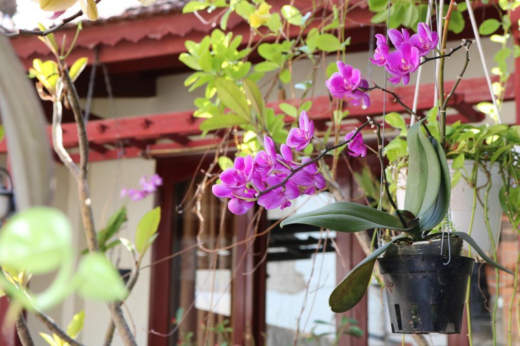 Nhi Trung Hotel Hoi An Exterior photo